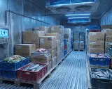 Chłodnia z produktami spożywczymi, gdzie panuje temperatura -21.4°C. Widać skrzynki z rybami, mięsem i warzywami, gotowe do transportu w ramach konwencji ATP.