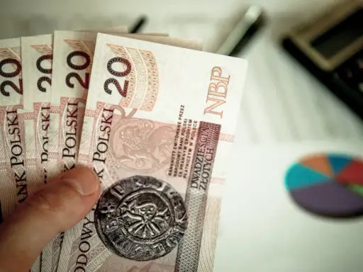Dłoń trzyma kilka banknotów po 20 złotych. Kiedy mpp, warto mieć oszczędności.